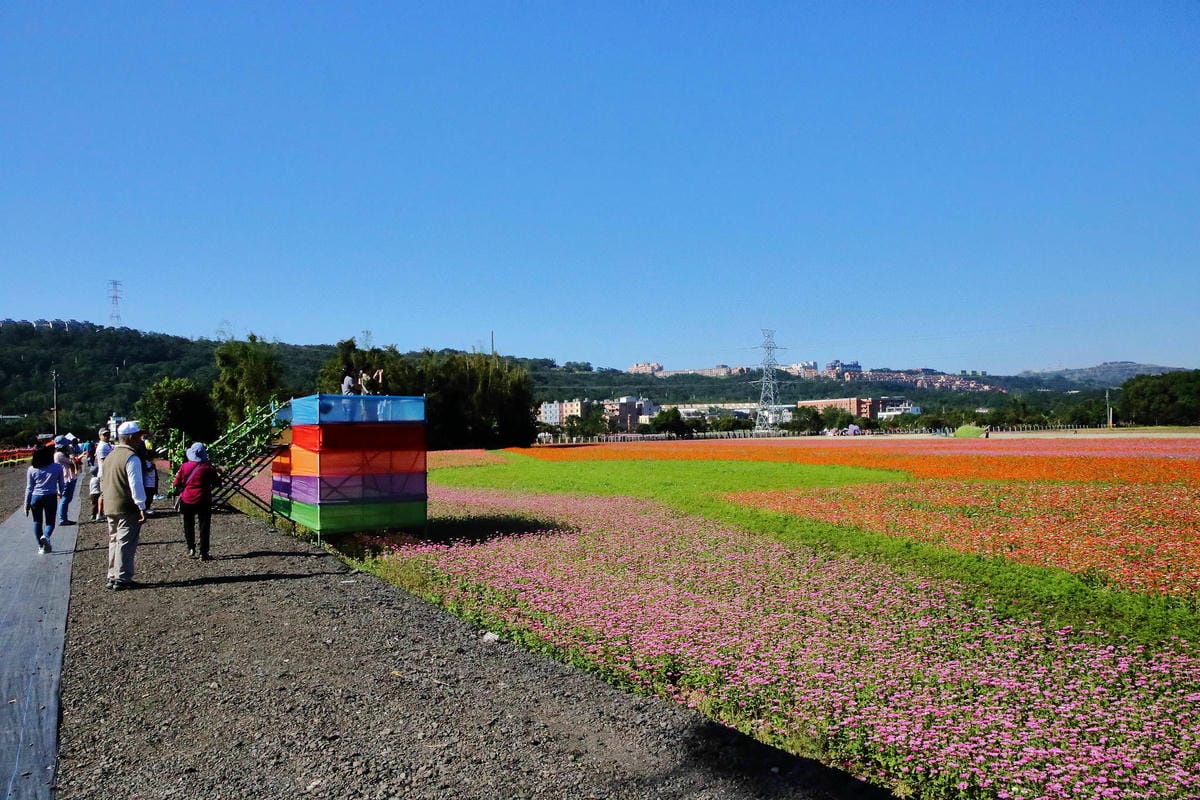 【2018桃園花彩節】楊梅+龍潭尋花趣〜2018IG打卡、情侶約會新景點！浪漫紫色仙草花海，不用出國免費讓你拍個夠！