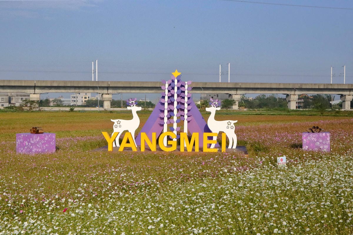 【2018桃園花彩節】楊梅+龍潭尋花趣〜2018IG打卡、情侶約會新景點！浪漫紫色仙草花海，不用出國免費讓你拍個夠！