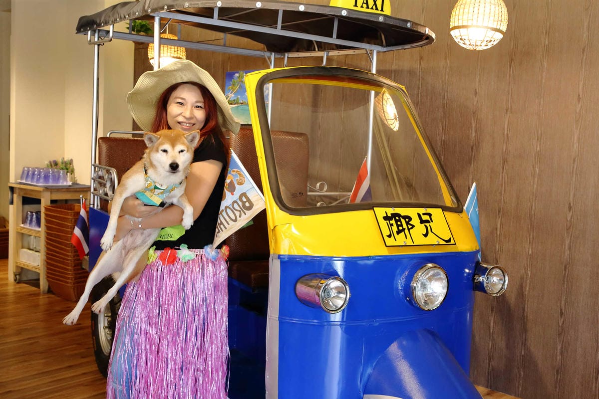 【食。台北】Coco Brother 椰兄-南京店〜新開幕！一秒飛到泰國！嘟嘟車美食之旅，泰酸泰辣泰好吃！（寵物友善餐聽）