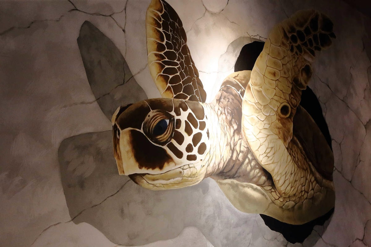 【食。永和】老食仁食尚料理〜眷村功夫菜, 就算只有一個人也可以吃外省家鄉菜料理(已歇業)