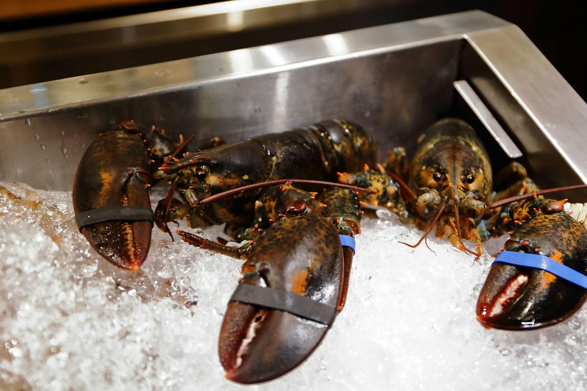 【食。台北】TK SEAFOOD & STEAK〜名不虛傳的低調牛排館，獨家熟成技術頂級美味牛排，高貴不貴，負擔得起的奢華享受