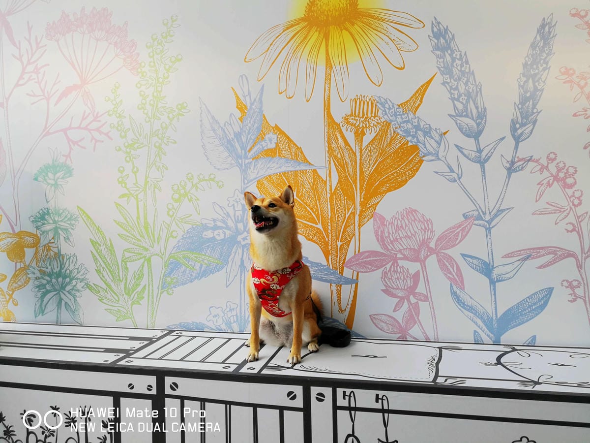 【遊。宜蘭】龍潭湖畔悠活園區Herbelle+HoWine&Cafe純白貨櫃景觀咖啡〜宜蘭礁溪新景點！擁有大片草皮綠意盎然，免費參觀、遛小孩景點