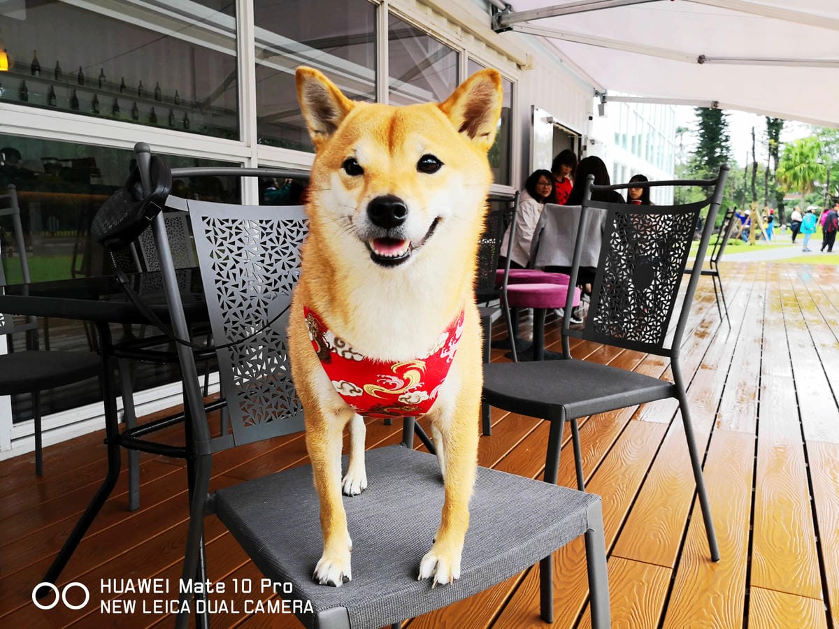 【遊。宜蘭】龍潭湖畔悠活園區Herbelle+HoWine&Cafe純白貨櫃景觀咖啡〜宜蘭礁溪新景點！擁有大片草皮綠意盎然，免費參觀、遛小孩景點