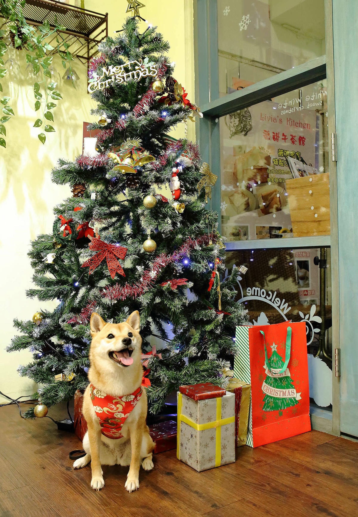 【食。新店】Livia’s kitchen – 薇甜〜碧潭旁手作甜點廚房,鄉村溫馨可愛風,讓人欲罷不能的法式千層派