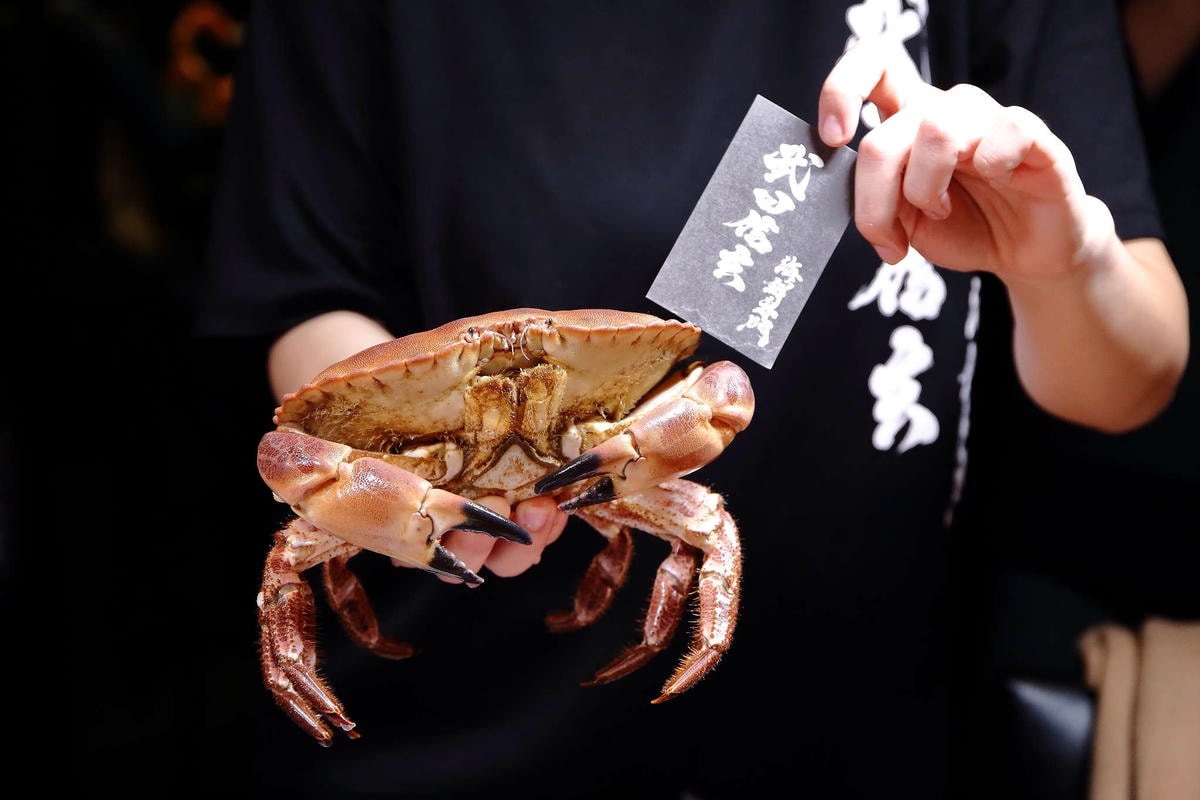 【食。中壢】武田信玄〜中壢也有無菜單料理?!超浮誇!帶給您視覺上的一大震撼,這裡的海鮮沒有極限!