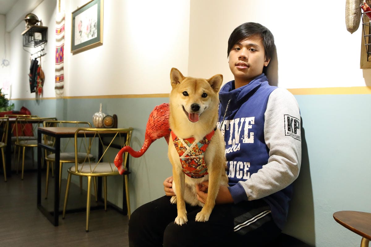 【食。中和】叁生叁食〜四號公園新開店，文青風格的復古小餐館，「萌柴店長」超盡職！(已歇業)