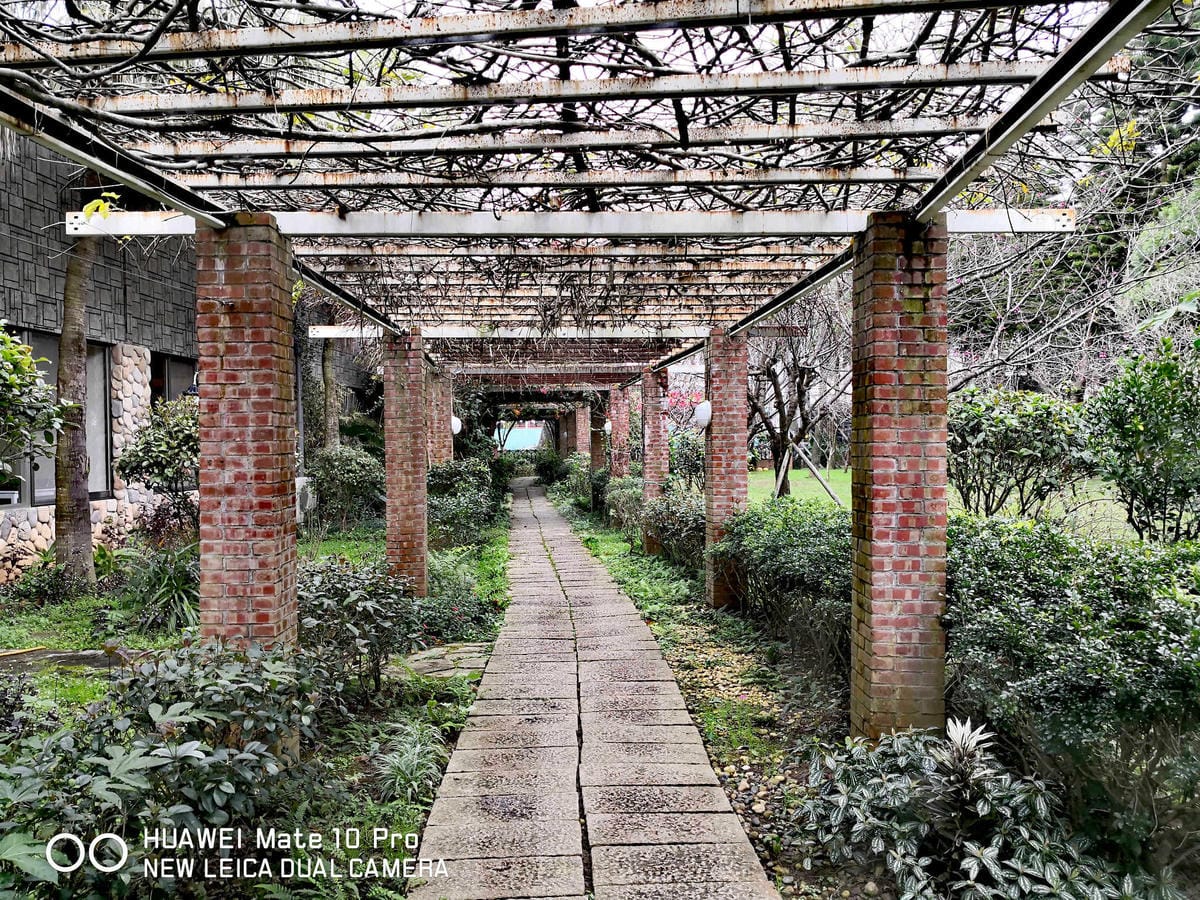 【食。龍潭】丑貳〜桃園景觀庭園親子餐廳。超大草皮玻璃屋×溜滑梯，綠色植栽讓你彷彿在小森林裡用餐！（寵物友善）