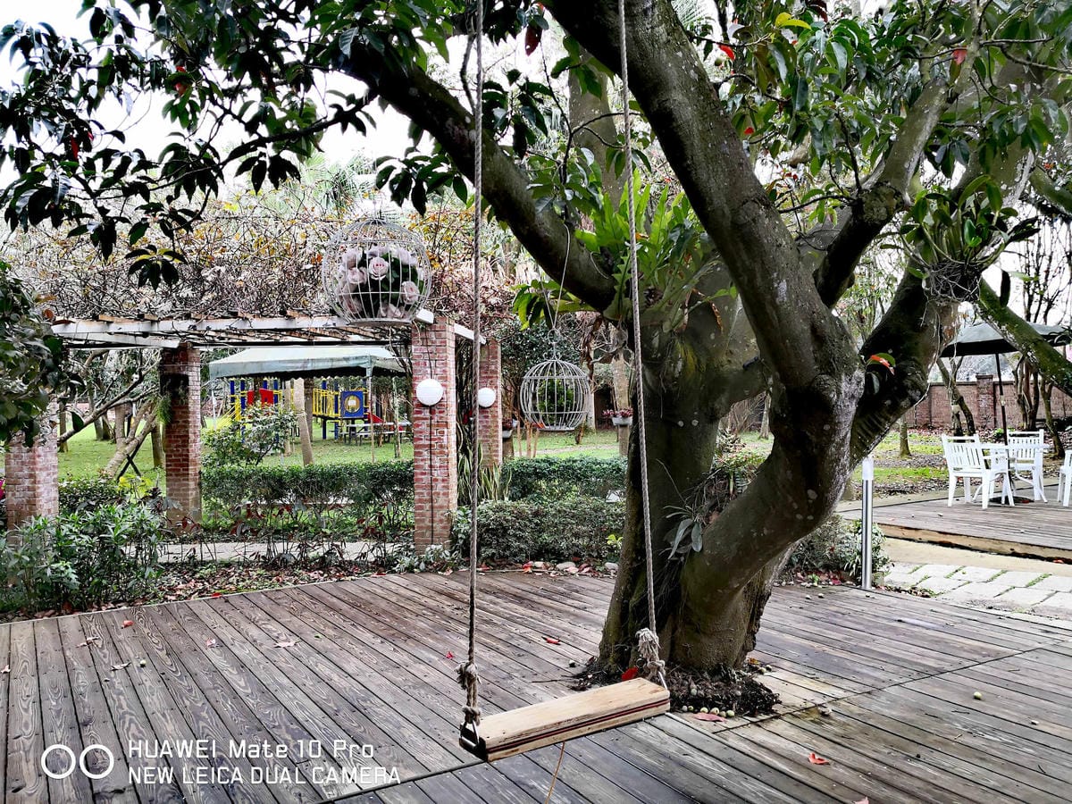 【食。龍潭】丑貳〜桃園景觀庭園親子餐廳。超大草皮玻璃屋×溜滑梯，綠色植栽讓你彷彿在小森林裡用餐！（寵物友善）