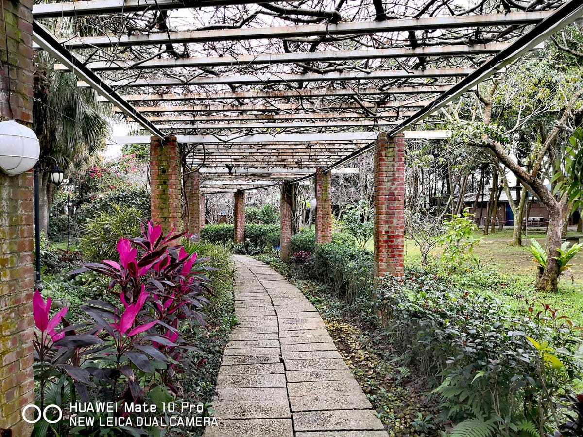 【食。龍潭】丑貳〜桃園景觀庭園親子餐廳。超大草皮玻璃屋×溜滑梯，綠色植栽讓你彷彿在小森林裡用餐！（寵物友善）