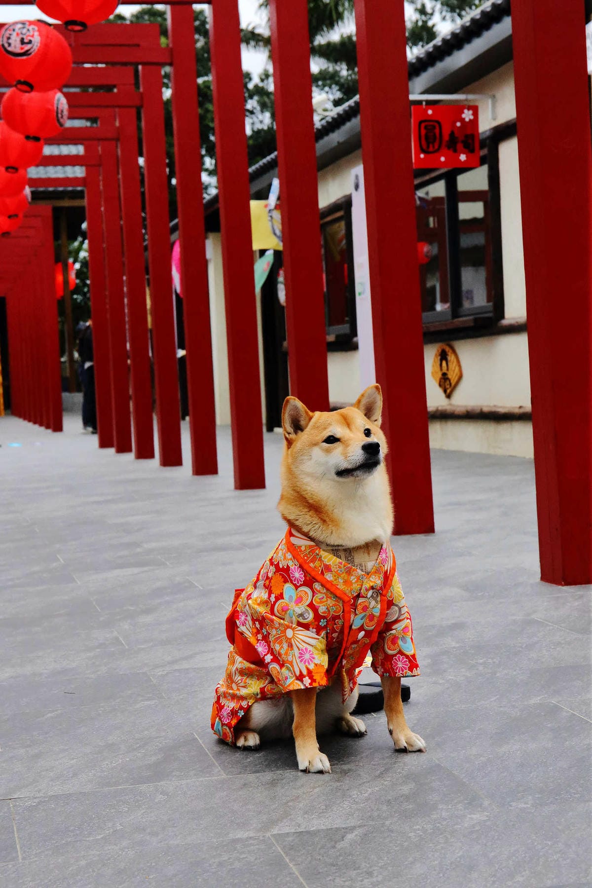 【遊。桃園平鎮】蛋寶生技不老村〜桃園新景點！雞蛋主題觀光工廠，台版伏見稻荷大社，浴衣體驗一起穿梭千本鳥居吧！(已歇業)