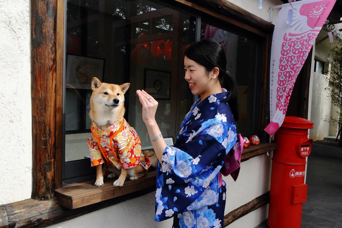 【遊。桃園平鎮】蛋寶生技不老村〜桃園新景點！雞蛋主題觀光工廠，台版伏見稻荷大社，浴衣體驗一起穿梭千本鳥居吧！(已歇業)