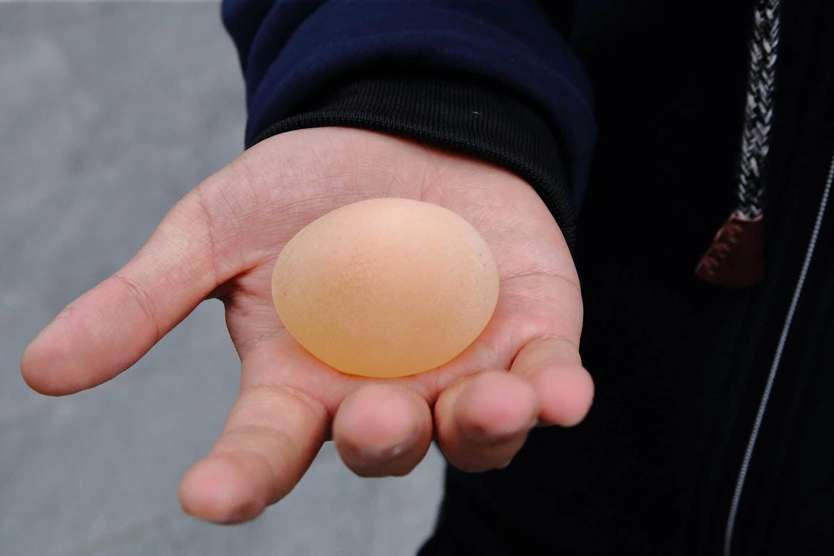 【遊。桃園平鎮】蛋寶生技不老村〜桃園新景點！雞蛋主題觀光工廠，台版伏見稻荷大社，浴衣體驗一起穿梭千本鳥居吧！(已歇業)