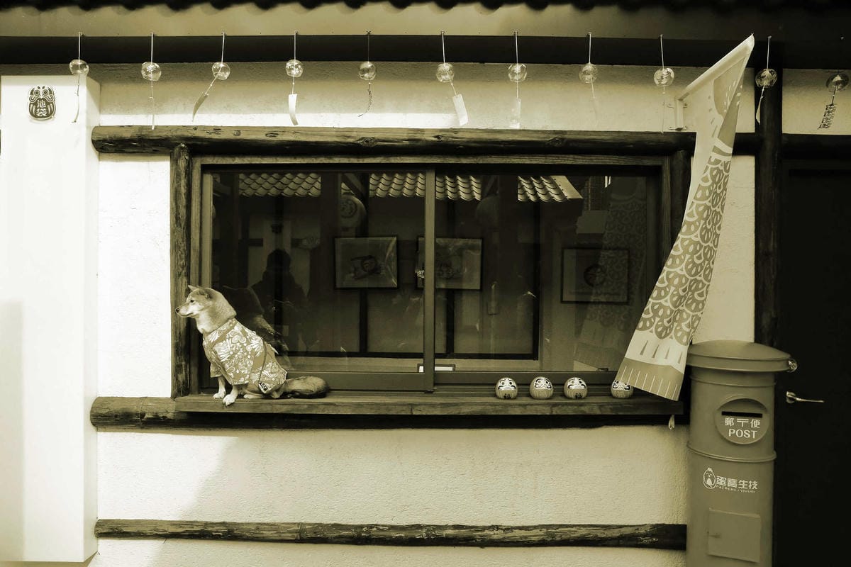 【遊。桃園平鎮】蛋寶生技不老村〜桃園新景點！雞蛋主題觀光工廠，台版伏見稻荷大社，浴衣體驗一起穿梭千本鳥居吧！(已歇業)