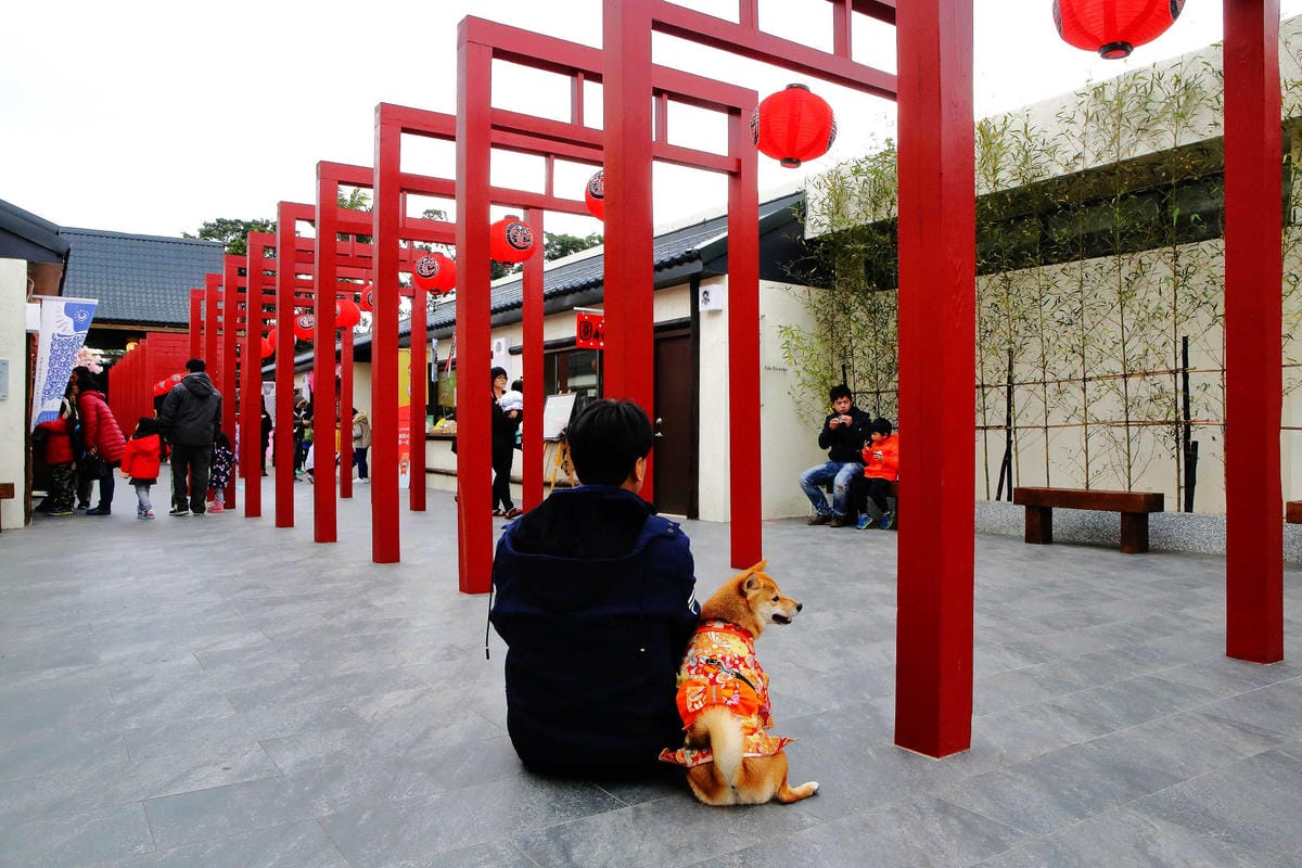 【遊。桃園平鎮】蛋寶生技不老村〜桃園新景點！雞蛋主題觀光工廠，台版伏見稻荷大社，浴衣體驗一起穿梭千本鳥居吧！(已歇業)