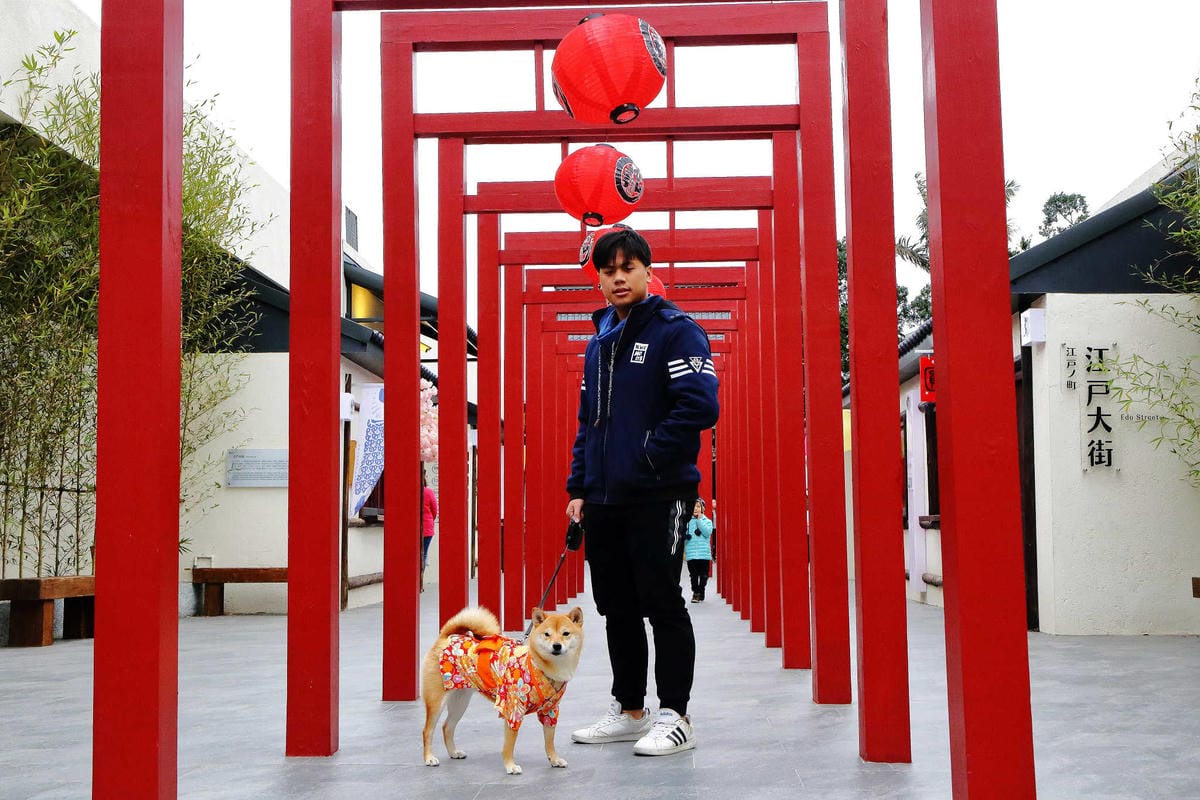 【遊。桃園平鎮】蛋寶生技不老村〜桃園新景點！雞蛋主題觀光工廠，台版伏見稻荷大社，浴衣體驗一起穿梭千本鳥居吧！(已歇業)