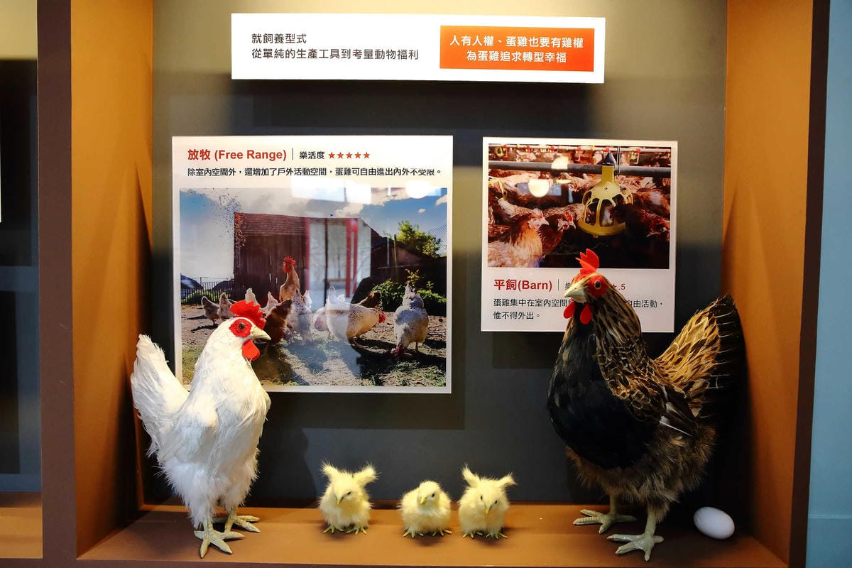 【遊。桃園平鎮】蛋寶生技不老村〜桃園新景點！雞蛋主題觀光工廠，台版伏見稻荷大社，浴衣體驗一起穿梭千本鳥居吧！(已歇業)