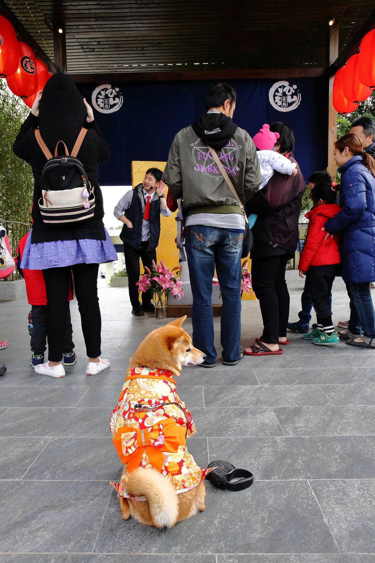 【遊。桃園平鎮】蛋寶生技不老村〜桃園新景點！雞蛋主題觀光工廠，台版伏見稻荷大社，浴衣體驗一起穿梭千本鳥居吧！(已歇業)