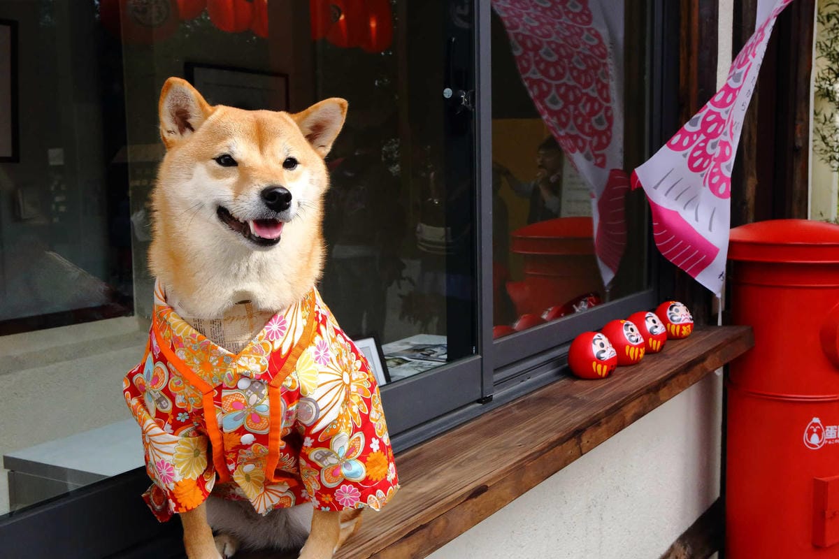 【遊。桃園平鎮】蛋寶生技不老村〜桃園新景點！雞蛋主題觀光工廠，台版伏見稻荷大社，浴衣體驗一起穿梭千本鳥居吧！(已歇業)