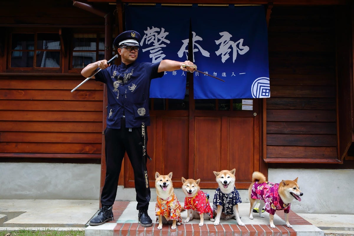 【寵物保險】Care Line英國凱萊寵物險〜寵物險初登場!愛牠就是讓我們彼此陪伴一輩子,用保險照顧一家大小的幸福〜