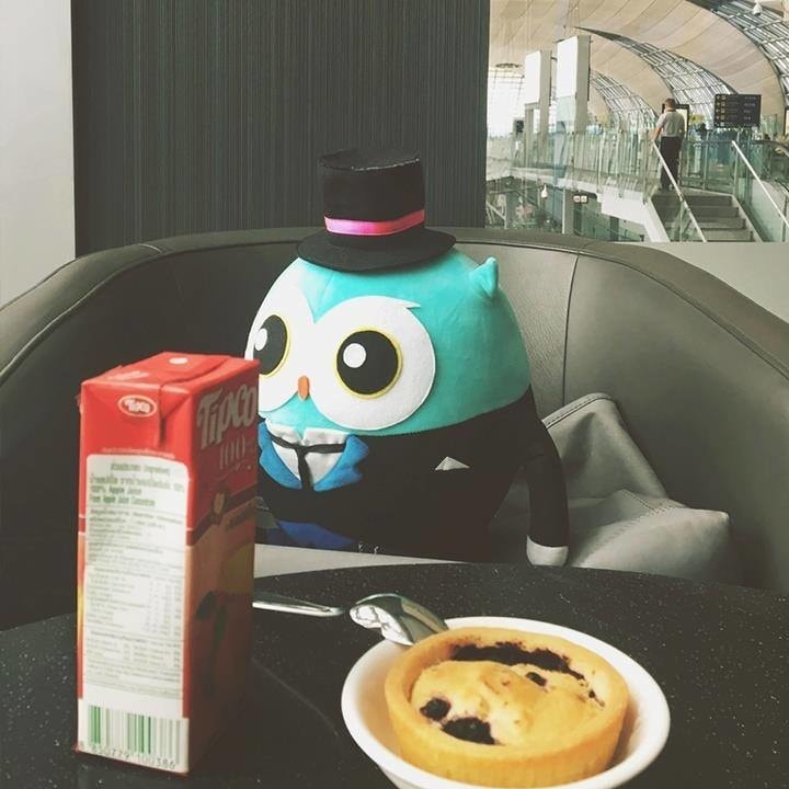 【寵物保險】Care Line英國凱萊寵物險〜寵物險初登場!愛牠就是讓我們彼此陪伴一輩子,用保險照顧一家大小的幸福〜