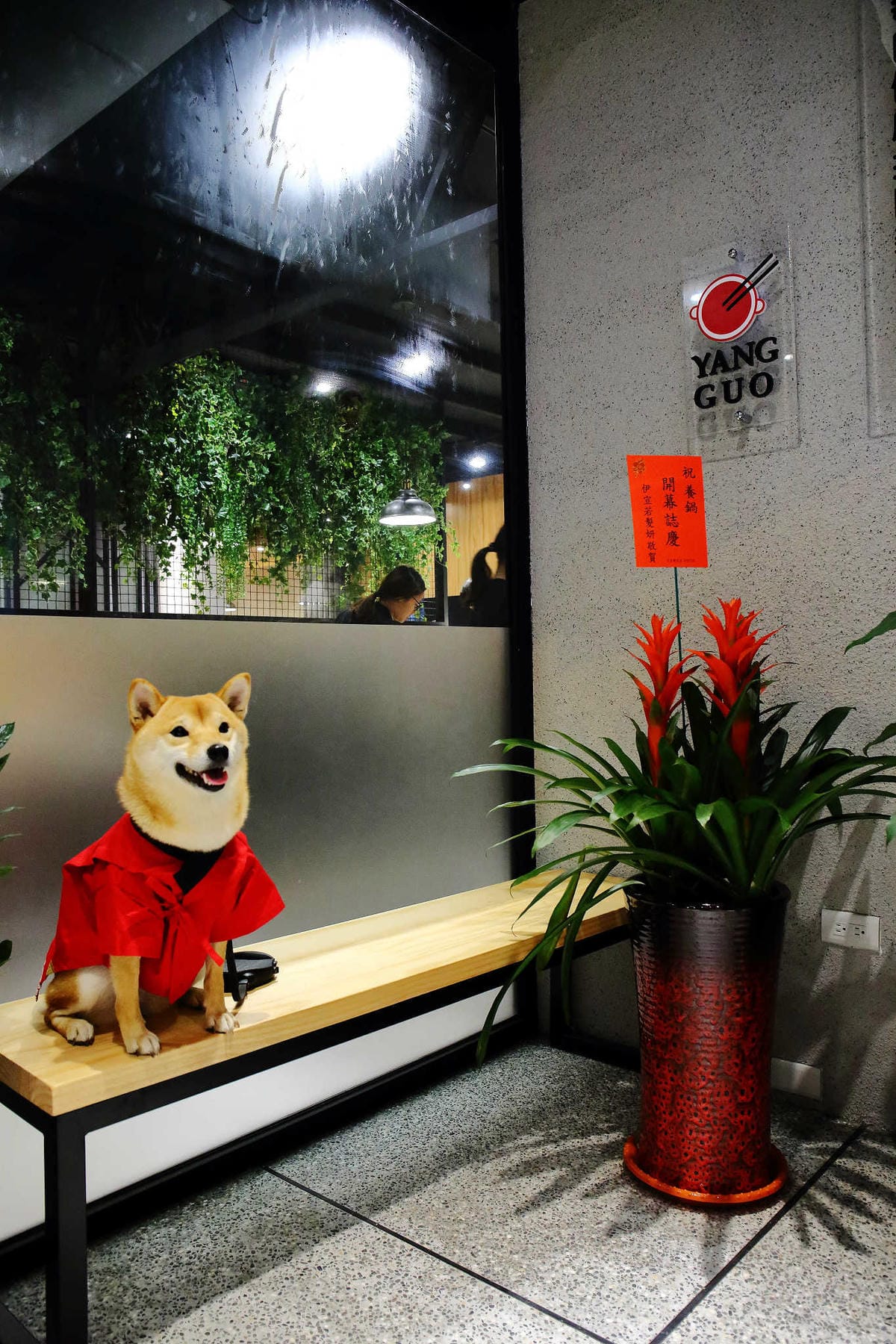 【食。龍潭】養鍋 Yang Guo 石頭涮涮鍋 桃園龍潭店〜逢甲商圈人氣小火鍋插旗桃園！大份量海陸鍋+大肉哥最低59元加倍肉量，俗擱大碗！（寵物友善）