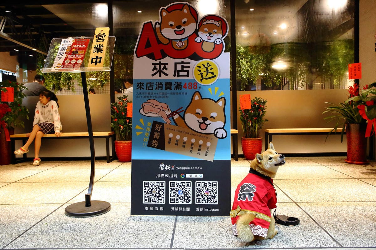 【食。龍潭】養鍋 Yang Guo 石頭涮涮鍋 桃園龍潭店〜逢甲商圈人氣小火鍋插旗桃園！大份量海陸鍋+大肉哥最低59元加倍肉量，俗擱大碗！（寵物友善）