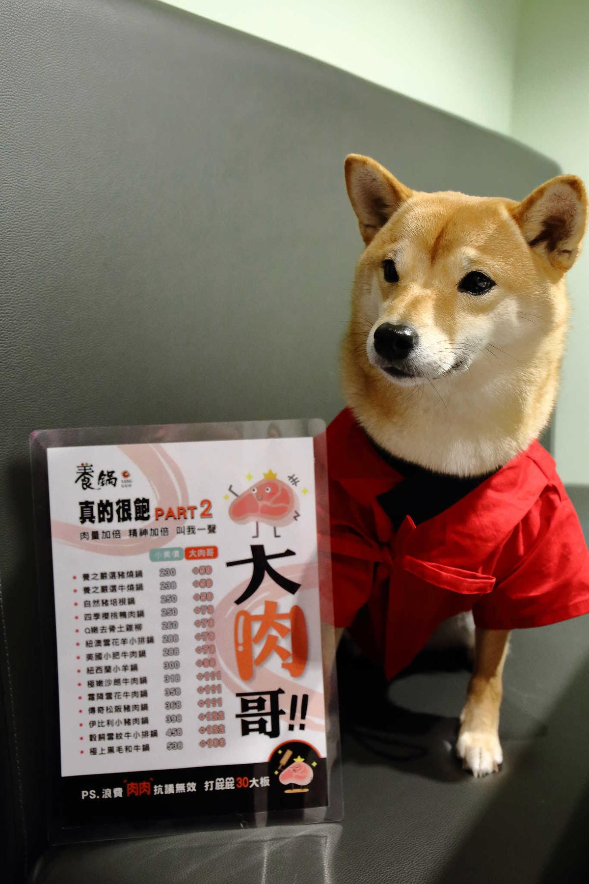 【食。龍潭】養鍋 Yang Guo 石頭涮涮鍋 桃園龍潭店〜逢甲商圈人氣小火鍋插旗桃園！大份量海陸鍋+大肉哥最低59元加倍肉量，俗擱大碗！（寵物友善）