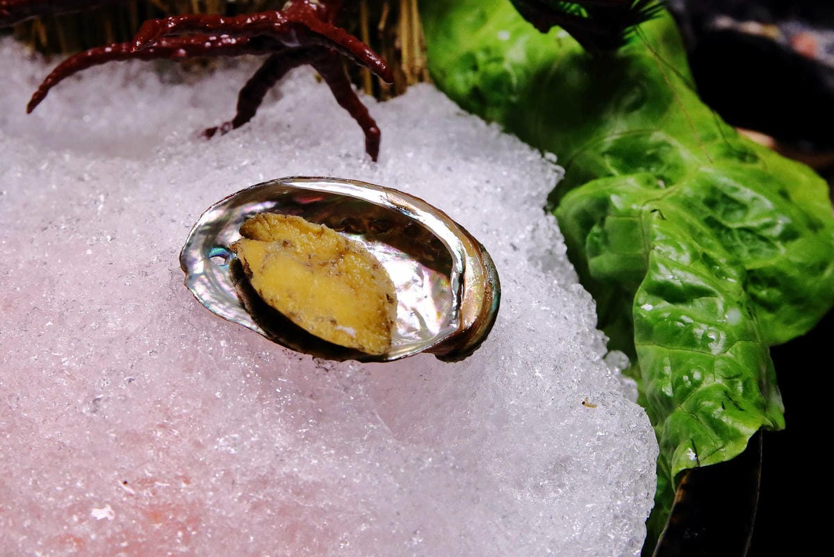 【食。龍潭】養鍋 Yang Guo 石頭涮涮鍋 桃園龍潭店〜逢甲商圈人氣小火鍋插旗桃園！大份量海陸鍋+大肉哥最低59元加倍肉量，俗擱大碗！（寵物友善）