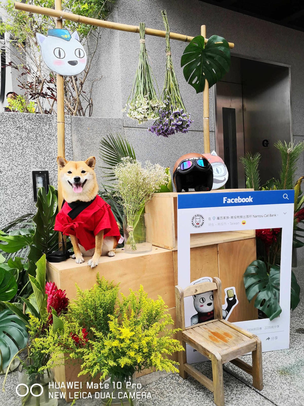 【遊。南投】蘿西家族-南投稅務出張所〜2019南投新景點。百年歷史重現風華，妖怪村「蘿西家族」，卡哇依萌翻天！