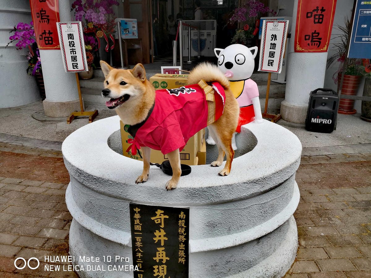 【遊。南投】蘿西家族-南投稅務出張所〜2019南投新景點。百年歷史重現風華，妖怪村「蘿西家族」，卡哇依萌翻天！