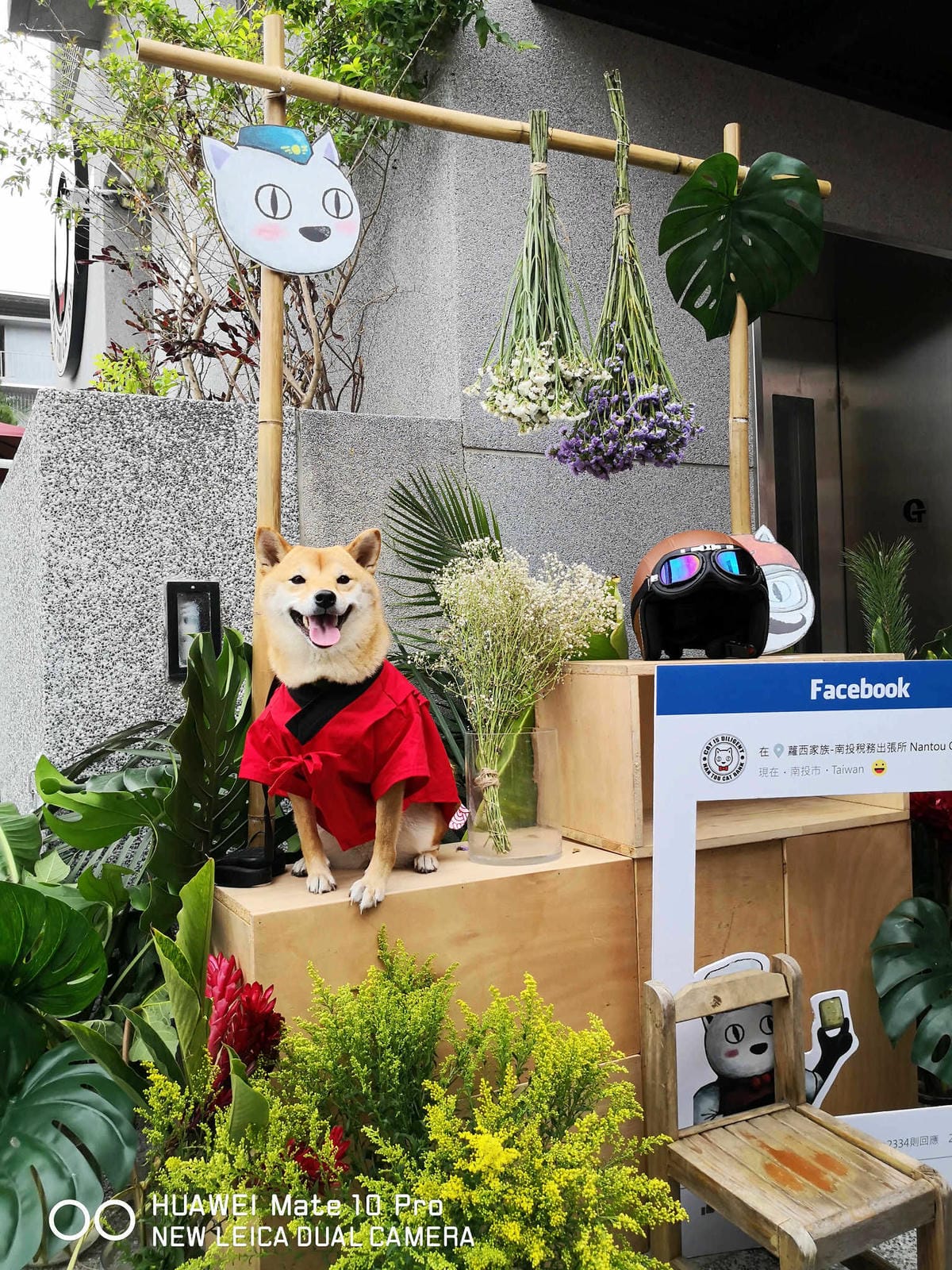 【遊。南投】蘿西家族-南投稅務出張所〜2019南投新景點。百年歷史重現風華，妖怪村「蘿西家族」，卡哇依萌翻天！