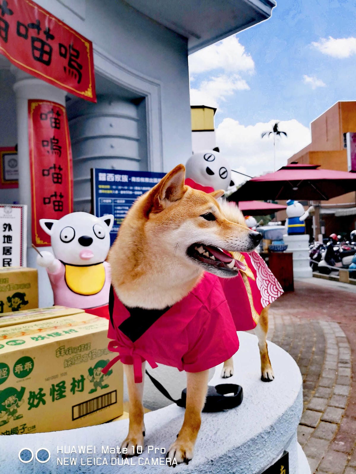 【遊。南投】蘿西家族-南投稅務出張所〜2019南投新景點。百年歷史重現風華，妖怪村「蘿西家族」，卡哇依萌翻天！