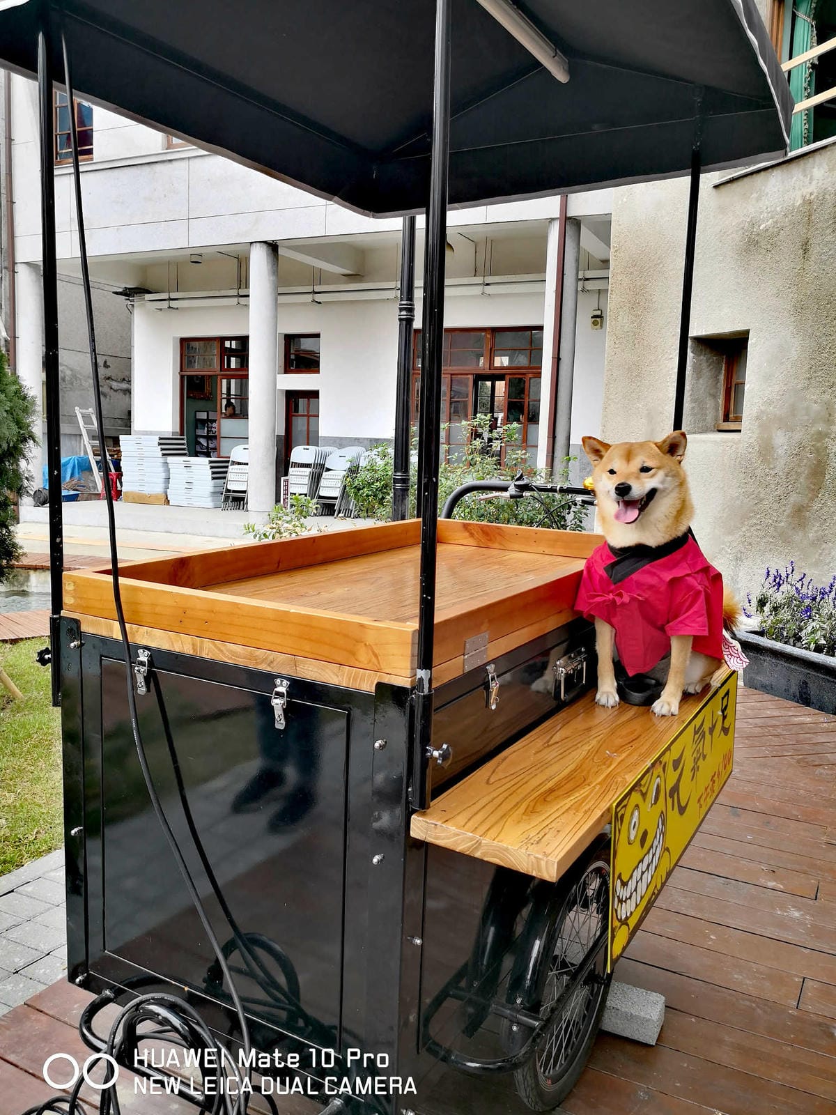 【遊。南投】蘿西家族-南投稅務出張所〜2019南投新景點。百年歷史重現風華，妖怪村「蘿西家族」，卡哇依萌翻天！