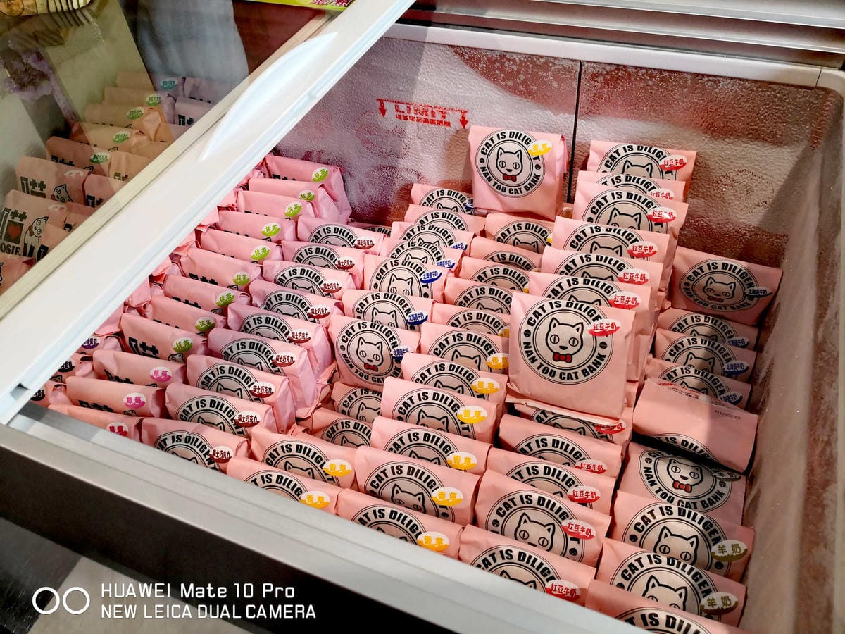 【遊。南投】蘿西家族-南投稅務出張所〜2019南投新景點。百年歷史重現風華，妖怪村「蘿西家族」，卡哇依萌翻天！