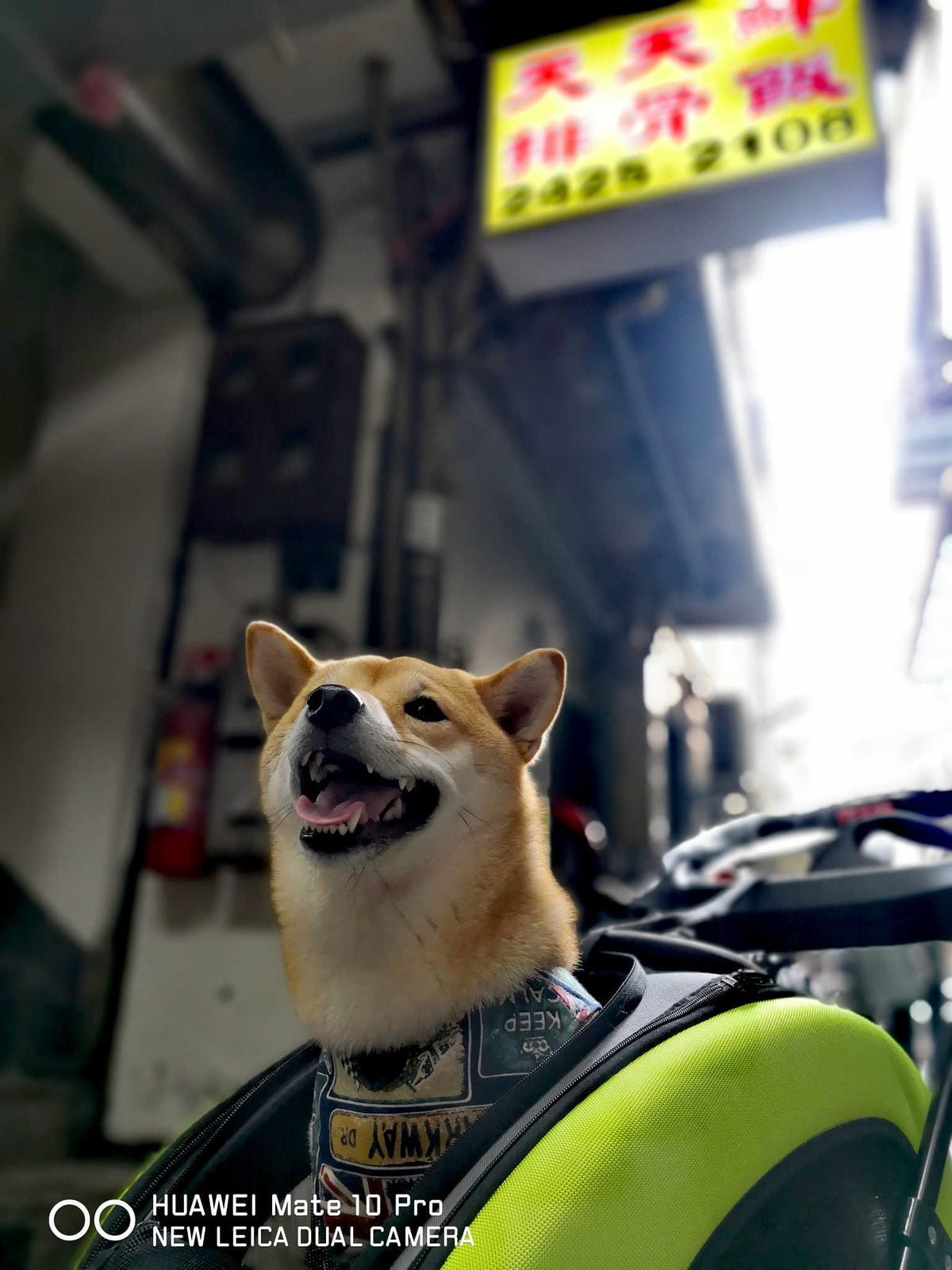 【食。基隆】天天鮮排骨飯〜基隆人氣排隊美食。IG打卡熱點！台版海陸丼，一吃就愛上，排再久也甘願！