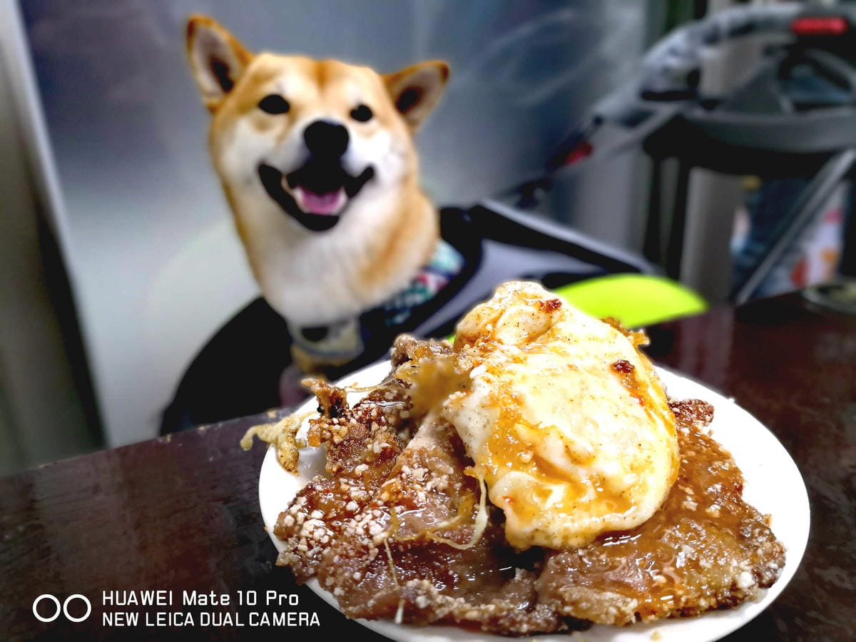 【食。基隆】天天鮮排骨飯〜基隆人氣排隊美食。IG打卡熱點！台版海陸丼，一吃就愛上，排再久也甘願！