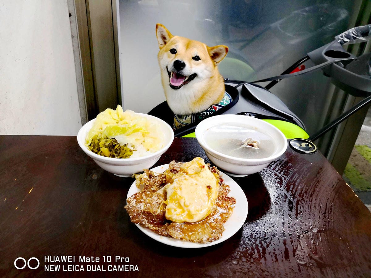 【食。基隆】天天鮮排骨飯〜基隆人氣排隊美食。IG打卡熱點！台版海陸丼，一吃就愛上，排再久也甘願！