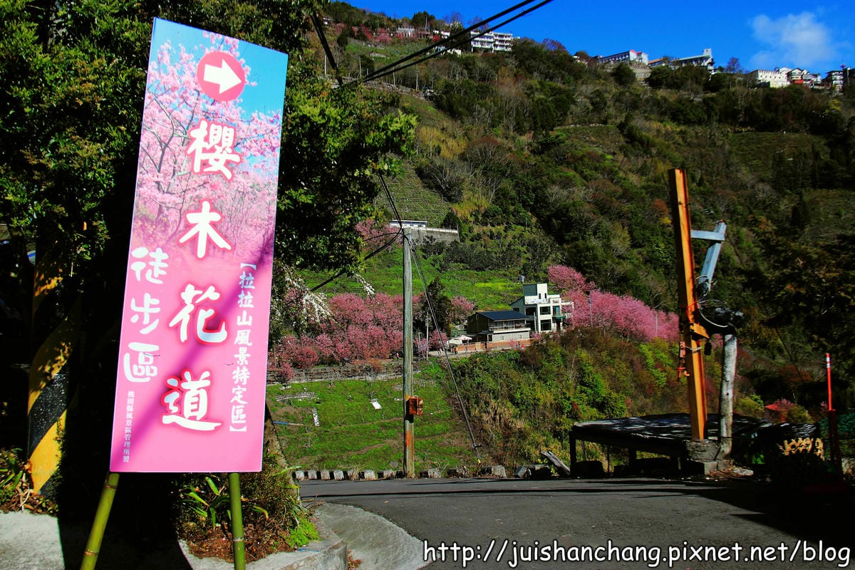 【遊。桃園】中巴陵。櫻木花道VS拉拉山。恩愛農場～迷你隱藏版武陵農場滴家啦！
