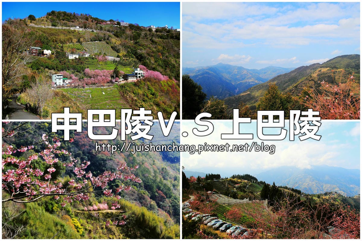 【遊。桃園】中巴陵。櫻木花道VS拉拉山。恩愛農場～迷你隱藏版武陵農場滴家啦！