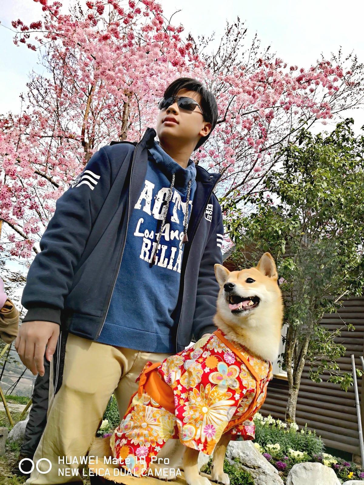 【遊。桃園】中巴陵。櫻木花道VS拉拉山。恩愛農場～迷你隱藏版武陵農場滴家啦！