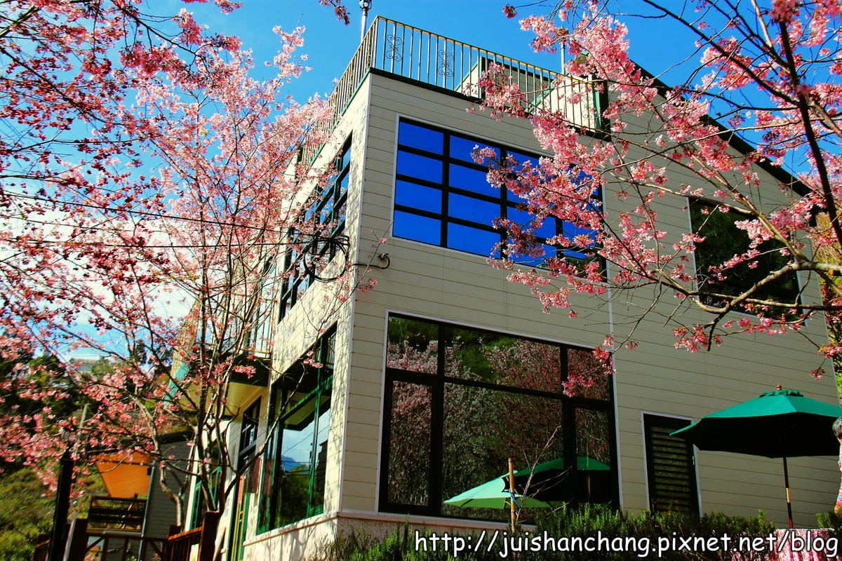 【遊。桃園】中巴陵。櫻木花道VS拉拉山。恩愛農場～迷你隱藏版武陵農場滴家啦！