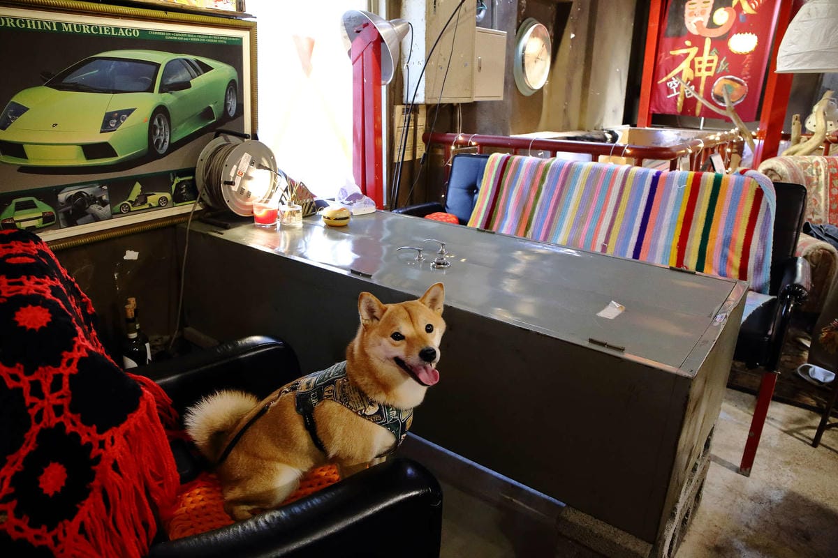 【食。基隆】空白服飾&金派甜點〜姐妹約會秘密基地！結合了藝術服飾，低調隱藏在巷弄內的甜點店(寵物友善)