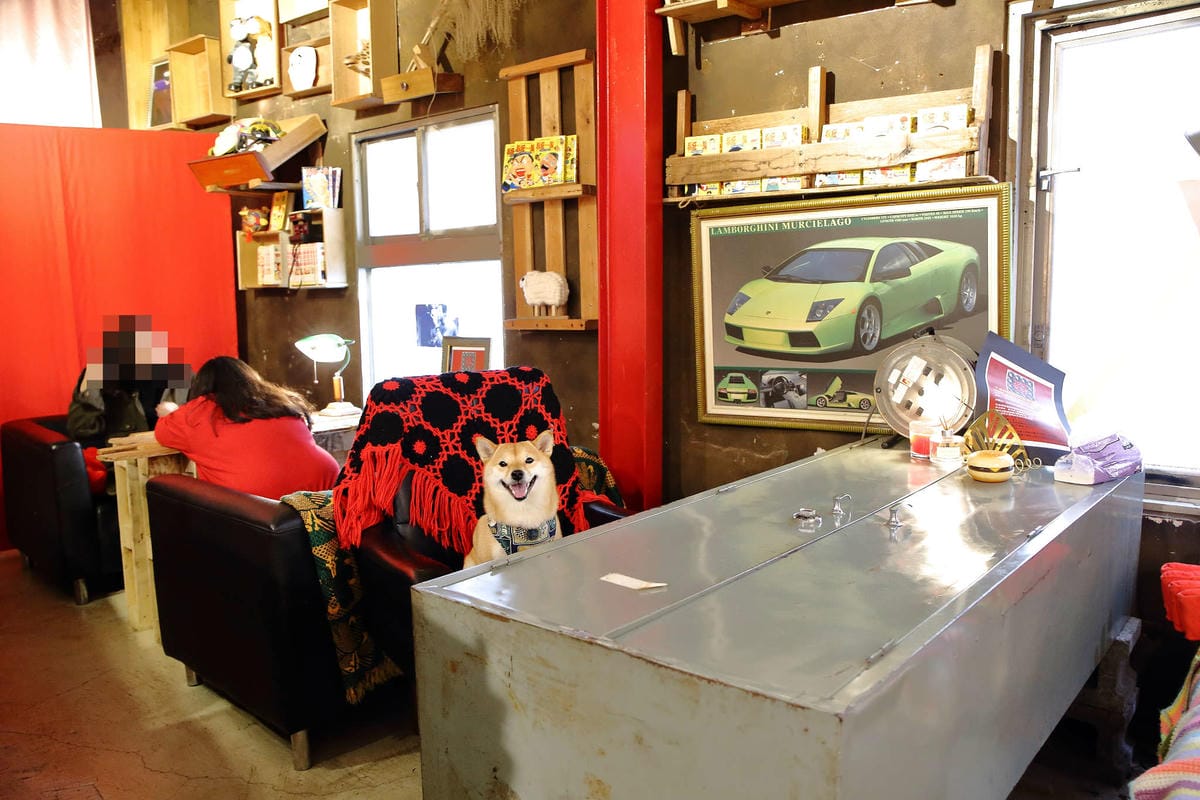 【食。基隆】空白服飾&金派甜點〜姐妹約會秘密基地！結合了藝術服飾，低調隱藏在巷弄內的甜點店(寵物友善)