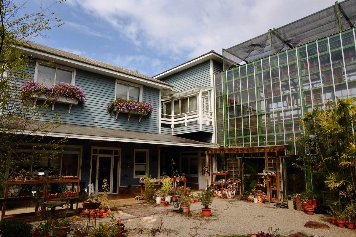 【食。台中】千樺花園餐廳〜森林系餐廳，處處是打卡拍照熱點，浪漫場景、經典法式料理，讓你拍到手軟！