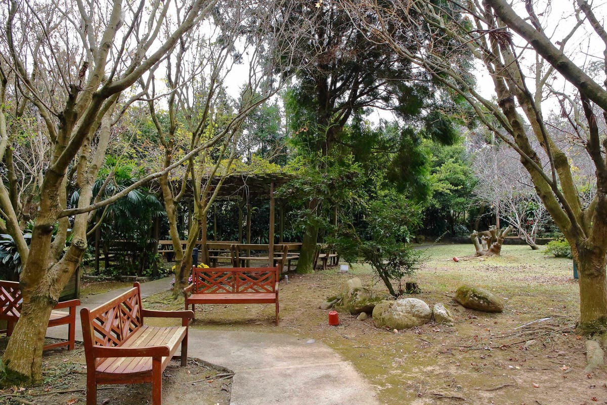 【食。台中】千樺花園餐廳〜森林系餐廳，處處是打卡拍照熱點，浪漫場景、經典法式料理，讓你拍到手軟！