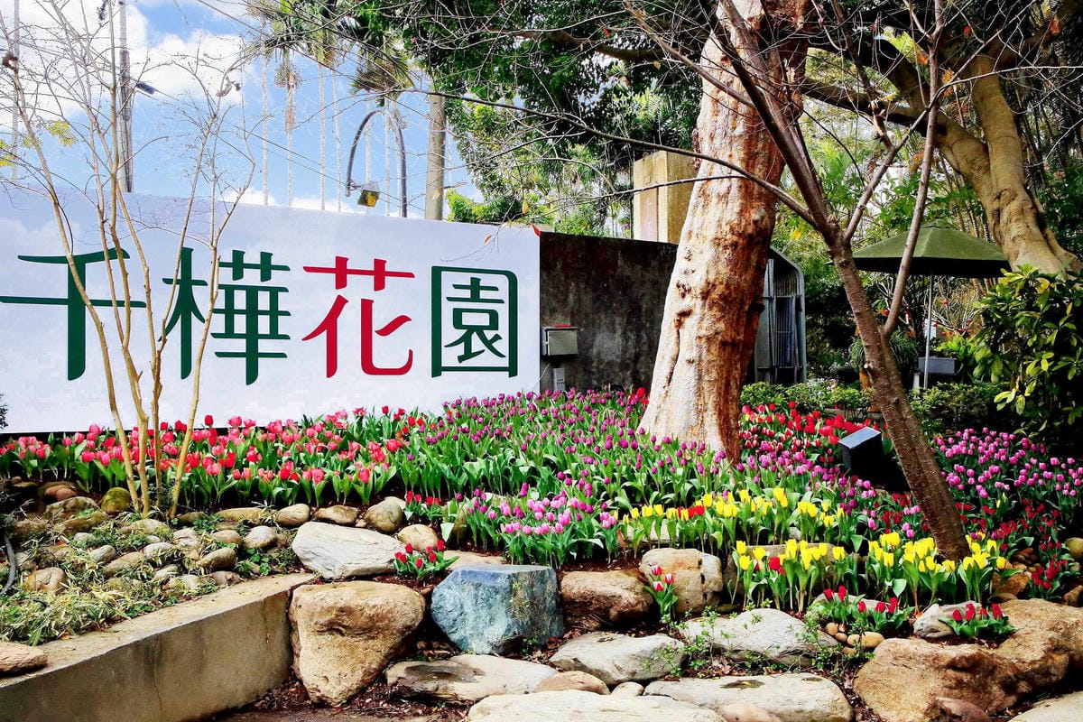 【食。台中】千樺花園餐廳〜森林系餐廳，處處是打卡拍照熱點，浪漫場景、經典法式料理，讓你拍到手軟！