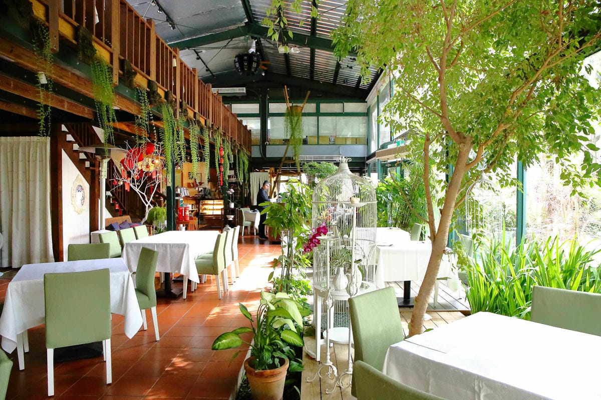 【食。台中】千樺花園餐廳〜森林系餐廳，處處是打卡拍照熱點，浪漫場景、經典法式料理，讓你拍到手軟！