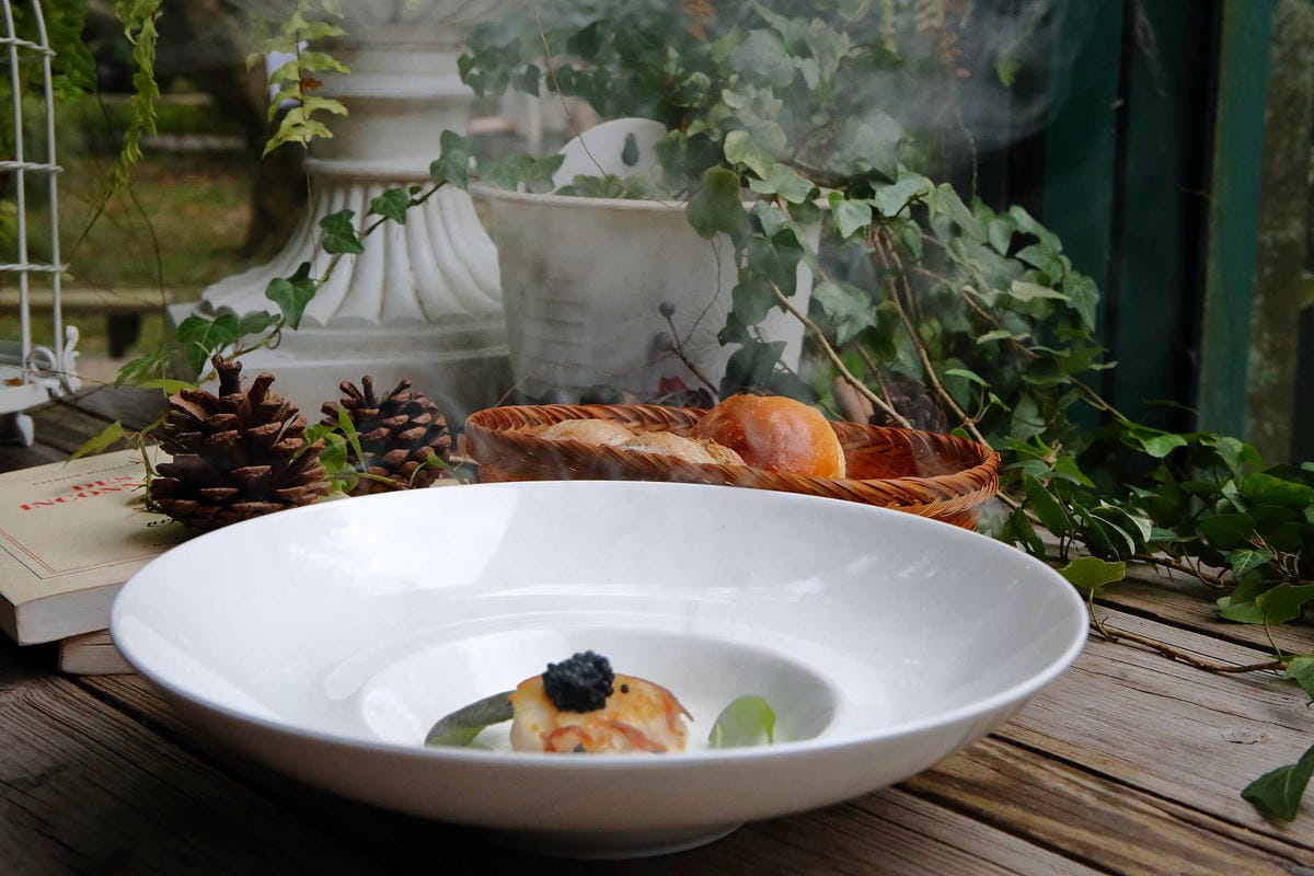 【食。台中】千樺花園餐廳〜森林系餐廳，處處是打卡拍照熱點，浪漫場景、經典法式料理，讓你拍到手軟！