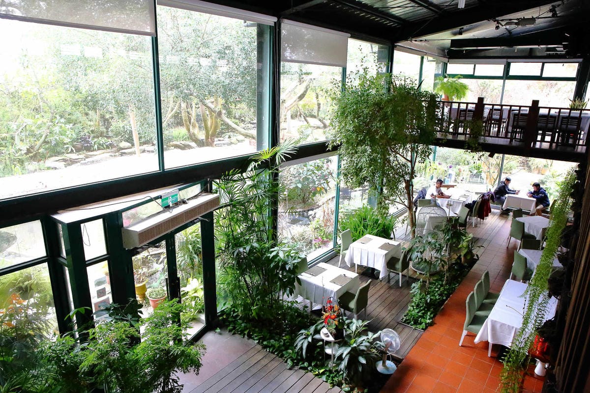 【食。台中】千樺花園餐廳〜森林系餐廳，處處是打卡拍照熱點，浪漫場景、經典法式料理，讓你拍到手軟！