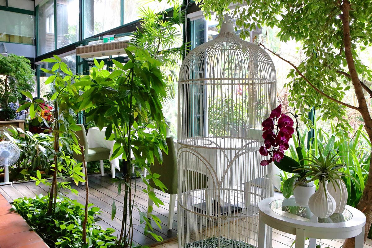 【食。台中】千樺花園餐廳〜森林系餐廳，處處是打卡拍照熱點，浪漫場景、經典法式料理，讓你拍到手軟！